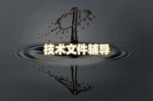 技术文件辅导
